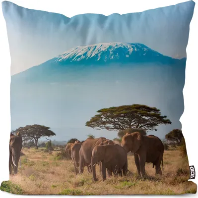 Produktbild von VOID Elefanten Steppe Afrika Kissenbezug Kissenhülle Sofakissen Kissen Deko Outdoor-Kissen Dekokissen