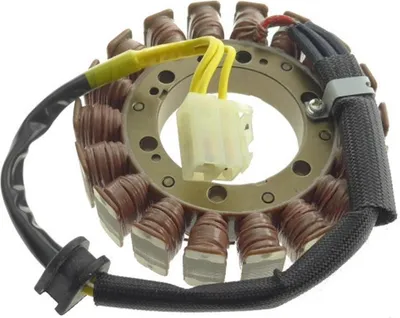 Image de Stator d'alternateur pour Ducati 749 749 Biposto, années 2003-2007, de la marque Pamoto - Neuf