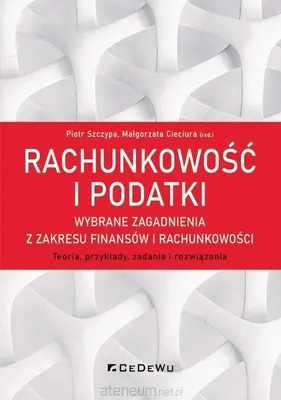 Zdjęcie produktu dla Rachunkowość i podatki