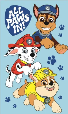 Immagine prodotto di JERRY FABRICS Asciugamano per bambini Paw Patrol Boys Cotone - Terry, 50/30 cm