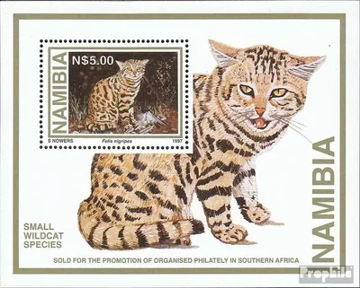 Produktbild von Briefmarken Namibia - Südwestafrika 1997 Mi Block28 (kompl.Ausg.) postfrisch Kleine Raubtiere