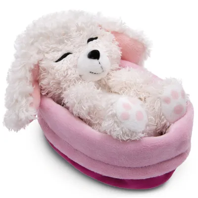 Produktbild von NICI Kuscheltier Hund - Pudel weiß 12cm, schlafend im Körbchen - Plüschtier zum Kuscheln und Liebhaben - Nachhaltig produziert aus recycelten Materialien - 49749