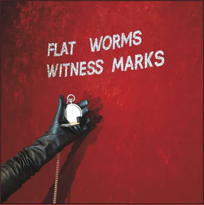 Produktbild von Witness Marks