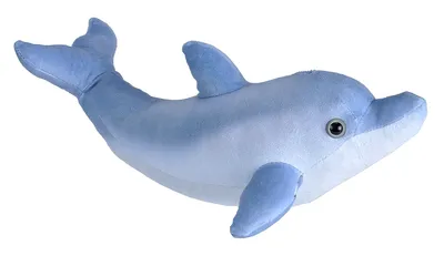 A plush toy dolphin against a white background.