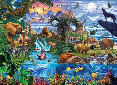 Image de Animaux du monde par Steve Crisp