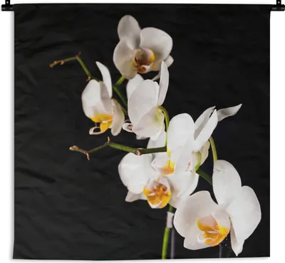 Produktbild von MuchoWow® Wandteppich Wandbehang Orchidee - Blumen - Pflanzen - Botanisch 90x90 cm Tapisserie Dekoration Wandtuch - Wandaufhänger