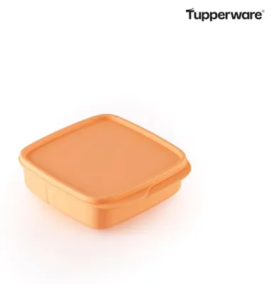 Produktbild von Tupperware Clevere Pause lachs