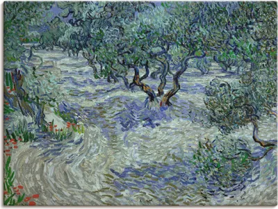 Produktbild von ARTland Leinwandbild Olivenhain. 1889 Größe: 60x45 cm