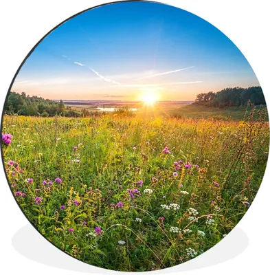 Produktbild von MuchoWow® Aluminium Wandkreis Sonne - Gras - Blumen Ø 30 cm Wanddeko Modern Wohnzimmer - Wand Bild - Wohnzimmer - Runde Bilder - Alubilder - Kunst für zu Hause - Aluminium - Wanddekoration