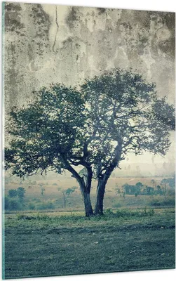 Produktbild von Bilder auf glas - Einteilig - Baum Natur Feld - 50x70cm - Glasbilder - Wandbilder - Bilder - zum Aufhängen bereit - Wanddekoration aus Glas - Glas Bilder - Wandbild auf Glas - GPA50x70-3627