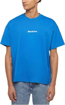 Produktbild von T-Shirt Dickies DK0A4YRNJ531 für Herren