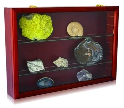 Produktbild von Präsentations-Vitrine "Maxi" Holz Luxus