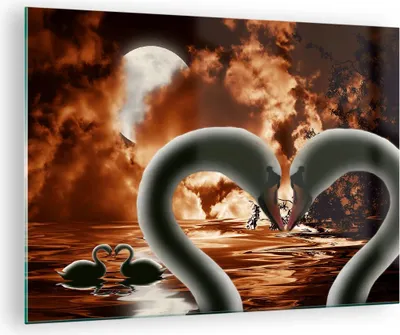 Produktbild von Bilder auf glas - Schwäne Nacht Liebe - 70x50cm - Glasbilder - Wandbilder - Kunstdruck - zum Aufhängen bereit - Wanddekoration aus Glas - Glas Bilder - Wandbild auf Glas - Einteilig - GAA70x50-0293
