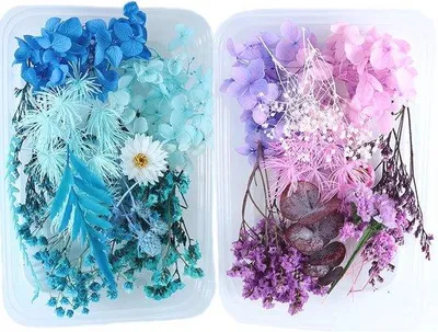 Produktbild von Famanu Set von 2 getrockneten Blumen für Hausdekoration und Bastelprojekte - bunt