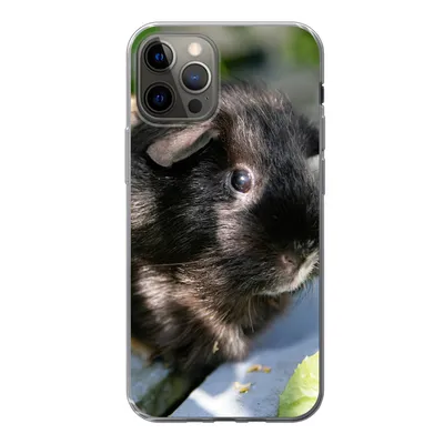 Produktbild von MuchoWow® Handyhülle Schutzhülle Hülle für iPhone 13 Pro Meerschweinchen im Garten Silikon Softcase Handy Hülle - Handy-Tasche