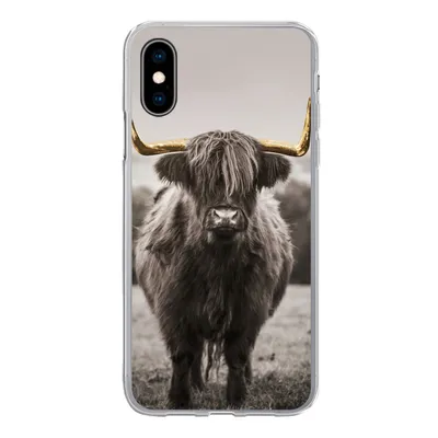 Produktbild von MuchoWow® Handyhülle Schutzhülle Hülle für iPhone X Schottischer Highlander - Gold - Hörner Silikon Softcase Handy Hülle - Handyhülle