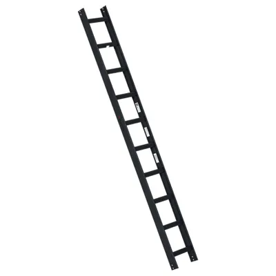 Produktbild von Euroline Premium Kaminkehrerleiter 10 Sprossen RAL7016 Anthrazit