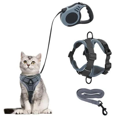 Image de Harnais anti-évasion pour chat avec laisse, ensemble harnais et laisse à enroulement automatique, harnais réglable avec laisse, harnais pour chatons et chiens (gris, petite taille)