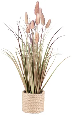 Produktbild von CREATIV green künstliche Gräser im Topf 41cm in rosa mit echten getrockneten Wedeln, Pampasziergras für Innen