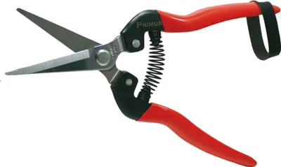 Produktbild von Garten Primus "Wunderschere" Allesschneider, rostbeständig, 18,7 cm lang, Aststärke max. 0,3 cm; 429796