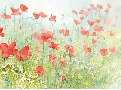 Produktbild von Tischsets aus Papier 43x30cm Mohnblumen Motiv 50 Stück Grün / Bunt