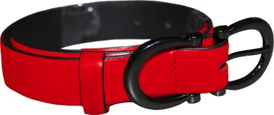 Image de Eastern Counties Leather Ceinture pour femme avec boucle EL243 (40 FR) (Rouge)
