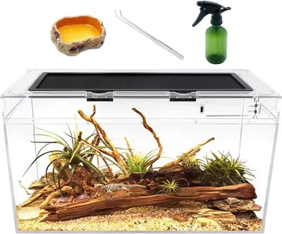Produktbild von Terrarium Komplettset, 50x25x27 cm, für Reptilien und kleine Tiere