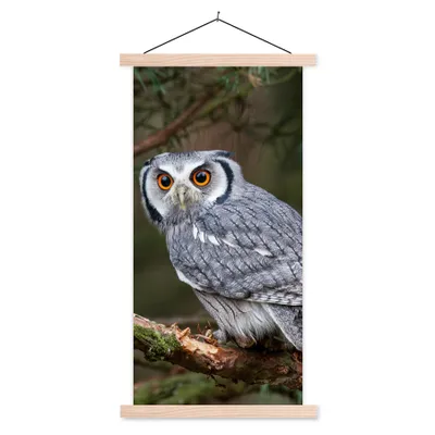 Produktbild von MuchoWow® Textilposter Eule - Vogel - Äste - Natur 60x120 cm mit holzfarbenen Rahmen - Holz