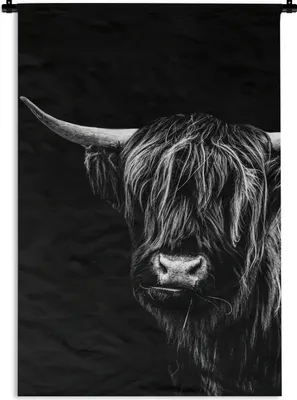 Produktbild von MuchoWow® Wandteppich Wandbehang Schottisches Hochlandrind auf schwarzem Hintergrund - schwarz und weiß 120x180 cm Tapisserie Dekoration Wandtuch - Schlafzimmer - Dekorationen für das Haus