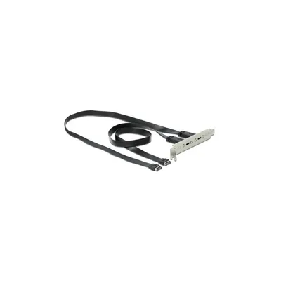 Produktbild von DeLOCK Slotblech mit 2 x USB Type-C Port, 0,5 m, USB 3.2 Gen 2 (3.1 Gen 2), USB A, USB C, Männlich, Weiblich