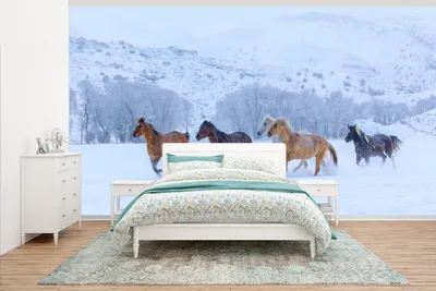 Produktbild von MuchoWow® Fototapete für Wohnzimmer oder Schlafzimmer Wandtapete Vinyl Motivtapete Pferde - Schnee - Winter - 535x300 cm - Wanddekoration