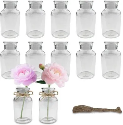 Produktbild von Famanu Set von 12 Mini-Glasvasen, 125 ml, transparente Vasen, kleine Blumenvasen, dekorative Vasen mit Juteband