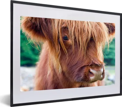 Produktbild von MuchoWow® MuchoWow® Gerahmtes Poster Schottisches Hochlandrind - Licht - Makro 60x40 cm - Poster mit zchwarzem Bilderrahmen - Schlafzimmer - Plakat in Rahmen - Drucken