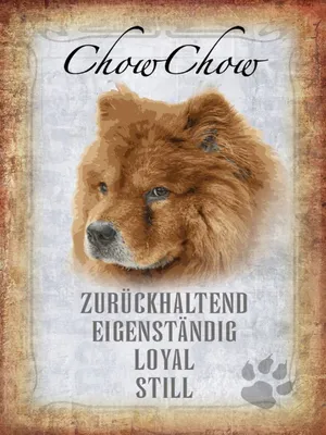 Produktbild von vianmo Holzschild 40x30 cm Chow Chow Hund loyal