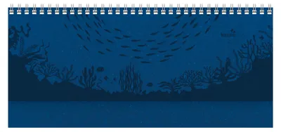Produktbild von Alpha Edition - Tisch-Querkalender Nature Line Ocean 2026 - Tischkalender quer 29,7×13,5 cm mit Wochenübersicht & Notizbereich, umweltfreundlicher Büroplaner mit Hardcover für Arbeit & Zuhause