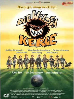 Produktbild von Die wilden Kerle 1