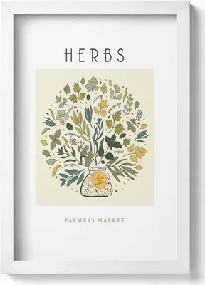 Produktbild von Illustration von Kräutern– Wandbild mit Rahmen – Gerahmtes Bild  – Wanddekoration – 20x30 cm – Weiß