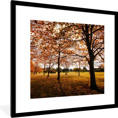 Produktbild von MuchoWow® Gerahmtes Poster Herbst - Herbstblätter - Natur 40x40 cm - Poster mit Schwarzem Bilderrahmen Wandposter Rahmen Foto Bilder - Poster - Plakat im Rahmen