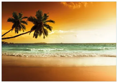 Produktbild von Wallario Premium Glasbild, freischwebende Optik, kräftige Farben, Größe 100 x 70 cm Motiv Palmen am Sandstrand bei untergehender Sonne