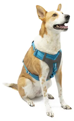 Produktbild von Kurgo Journey Air Hundegeschirr, XL, Blau