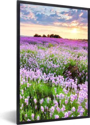 Produktbild von MuchoWow® Gerahmtes Poster Blumen - Lavendel - Lila - Himmel - Sonnenuntergang - Wiese - Natur 20x30 cm - Poster mit Schwarzem Bilderrahmen Wandposter Rahmen Foto Bilder - Drucken - Bilder Poster im Rahmen