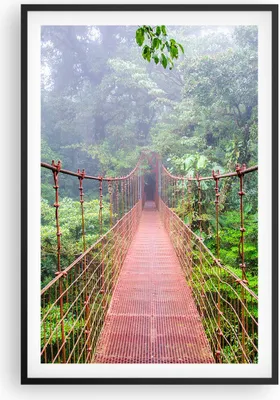 Produktbild von Gerahmtes Poster - Schwarzer Rahmen - Brücke ausgesetzt Costa Rica - 61x91,5 cm - Wand Bild - Wanddeko - Wandbilder - Kunstposter - Wandposter - Bilderrahmen - Bilder - Kunstdruck - P2BPA61x91-4923