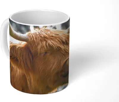 Produktbild von MuchoWow® Tasse Kaffeetasse Kaffeebecher 350 ml Schottisches Hochlandrind - Hoorn - Natur Teetasse - Fototasse - Becher - Keramikbecher - Teebecher - Kaffeetasse - Bürotasse