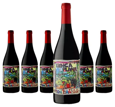 Produktbild von 6 x Terra de Falanis Llenca Plana Montsant