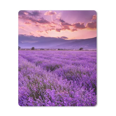 Produktbild von MuchoWow® Mauspad Mousepad Lavendel - Lila - Blumen - Feld 19x23 cm - Mousepads - Maus Mat - Pad - Mausunterlage - Mauspads - Spielen