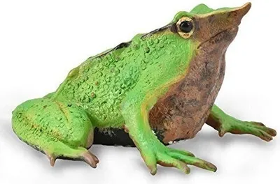 Produktbild von Collecta 88938 Darwins Frosch 5 cm Wildtiere