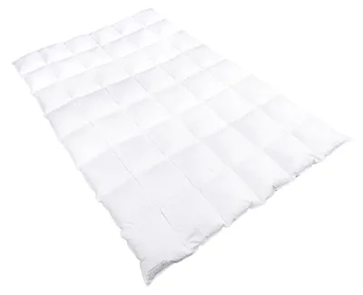 Produktbild von Sanders-Kauffmann Weidegans Daunenbettdecke extrawarm 155 x 220 cm ausgezeichnete Qualität für erholsamen Schlaf