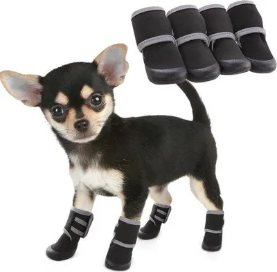 Produktbild von Famanu Hundeschuhe Wasserdicht - Antirutsch Pfotenschutz für Alle Jahreszeiten