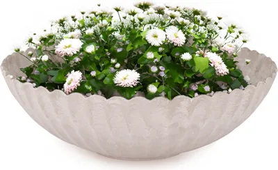 Produktbild von Pflanzschale für draussen Dekoschale rund sand beige marmoriert 22 cm