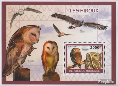 Produktbild von Briefmarken Togo 2010 Mi Block500 (kompl.Ausg.) postfrisch Eulen
